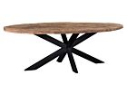 Product afbeelding van: Livingfurn Dakota eettafel met spiderpoot 240x100cm riverwood