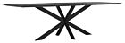 Product afbeelding van: DTP Home Timeless Black eettafel teakhout zwart 260x100x78cm