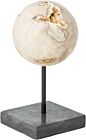 Product afbeelding van: Must Living Object ornament creme marmer 15x30cm